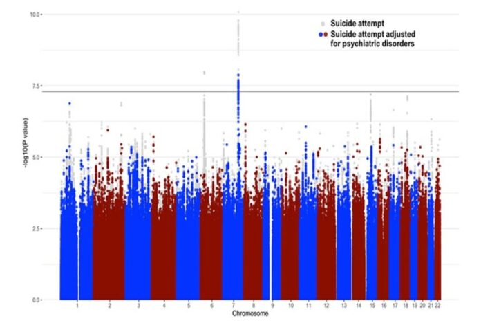 Physician Assisted Suicide Statistics